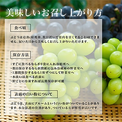 【先行受付】岡山県産マスカットオブアレキサンドリア1房(秀品以上・700g以上)化粧箱入り【配送不可地域：離島・北海道・沖縄県】【1150087】