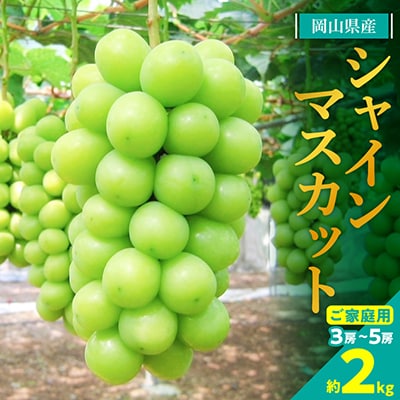 【2026年発送】訳あり!シャインマスカット約2kg!9月上旬〜順次発送【人気の岡山産ぶどう】【配送不可地域：離島】【1378276】