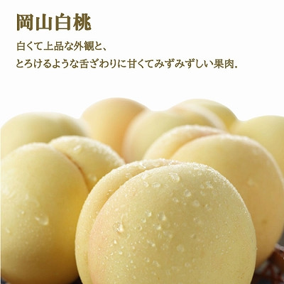 岡山県産　岡山白桃エース2Lサイズ250g×2玉・シャインマスカット晴王500g×1房　詰合せ TY0-0248