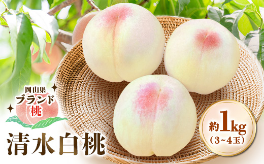 【先行受付|8月上旬頃より順次発送】岡山県ブランド『清水白桃』　約1kg(3~4玉)【配送不可地域：離島・北海道・沖縄県】【1726908】