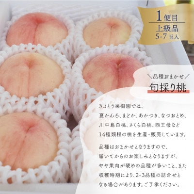 ãçºéæåºå®å®æäŸ¿ãã2026幎å
è¡äºçŽãå²¡å±±ã®æ¡ãã¶ã©ããæ¢šãç£å°çŽé!å€åçš®ãæ¥œããå®æäŸ¿å
š3åãé
éäžå¯å°åïŒé¢å³¶ã»åæµ·éã»æ²çžçãã4066247ã