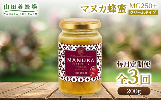 【毎月定期便】マヌカ蜂蜜(クリームタイプ)MG250+(22178)全3回【4008986】