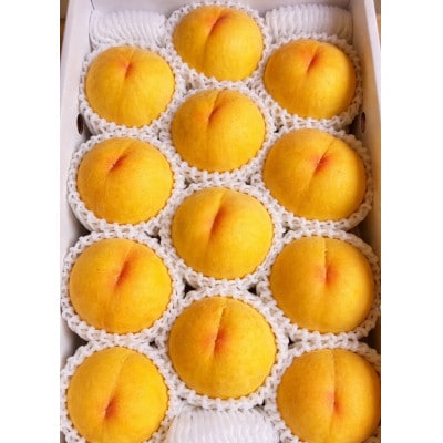 【先行受付|8月下旬頃より順次発送】岡山県産『黄金桃』　約1kg(3〜4玉)【配送不可地域：離島・北海道・沖縄県】【1726916】