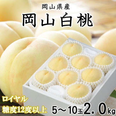 【先行受付】岡山白桃 ロイヤル 5〜10玉 2kg 岡山県産【配送不可地域：離島・北海道・沖縄県】【1305708】