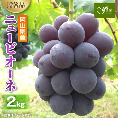 新鮮・朝採り後即出荷!　岡山県　吉備高原産ニューピオーネ　2kg箱(3〜4房入)ご贈答品【1299812】