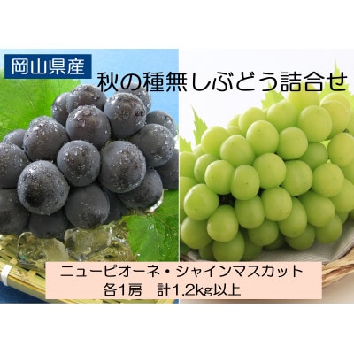 ◆先行受付◆　岡山県産　秋の種無しぶどう詰合せ　2026年発送【配送不可地域：離島・北海道・沖縄県】【1349783】