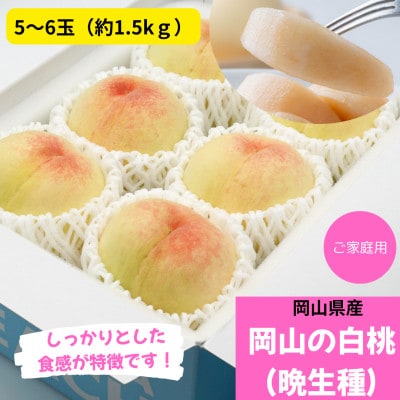 【先行受付】ご家庭用　白桃(晩生種)　 約1.5kg(5〜6玉)【配送不可地域：離島】【1614305】