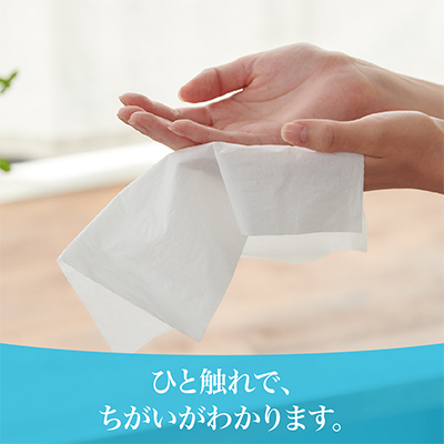 エリエール +Water(プラス ウォーター)ポケットティシュー 14組14個×16P(224個)【配送不可地域：離島・北海道・沖縄県】【1352859】