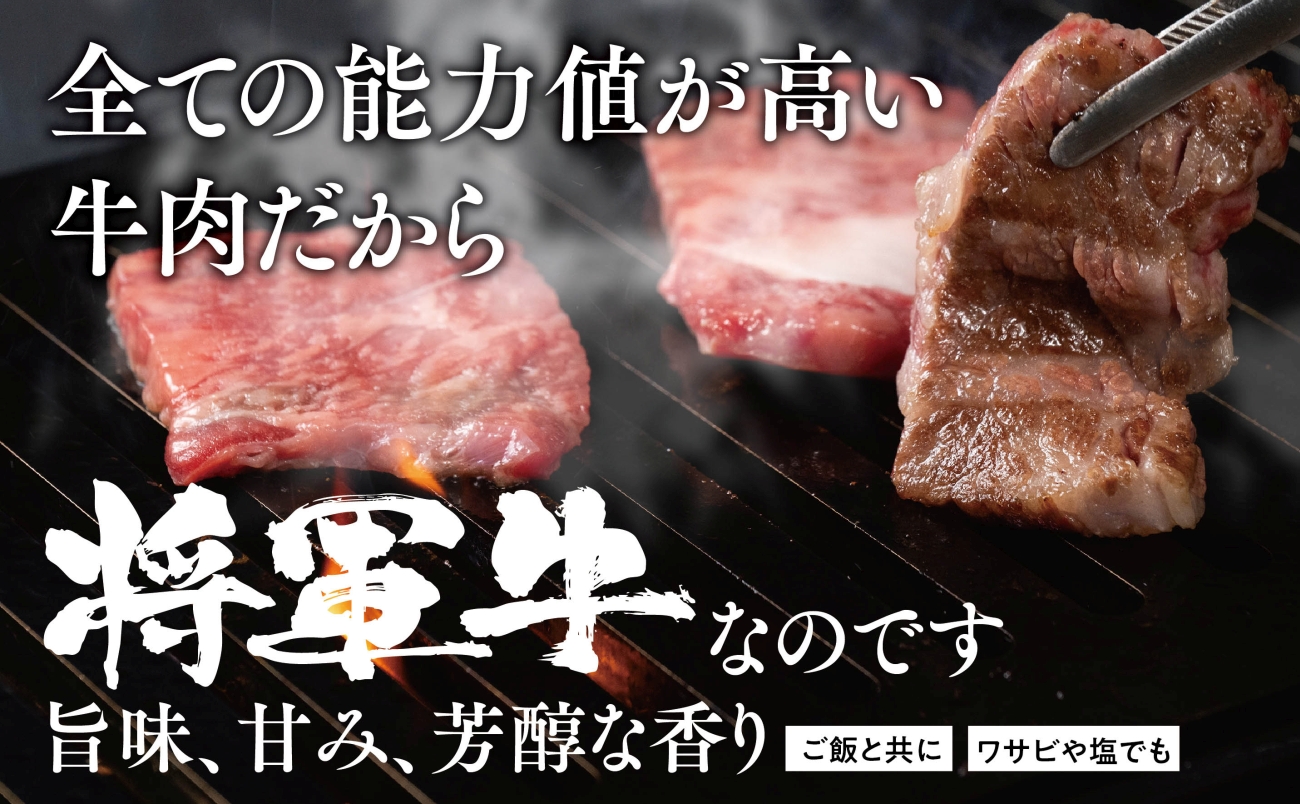 【将軍牛】特選焼肉セット ロース カルビ もも 3種類 500g【配送不可地域：離島・北海道・沖縄県】【1652110】