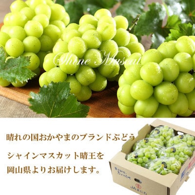 【2026年7月中旬より順次発送】岡山県産 シャインマスカット 晴王 5kg(5房〜10房)【配送不可地域：離島・北海道・沖縄県】【1365941】
