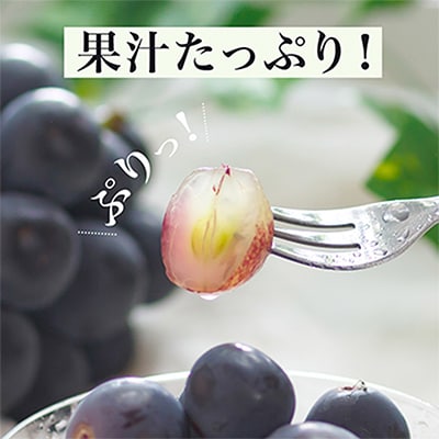 【先行受付】岡山県産　ニューピオーネ4房(1房480g以上・合計約2kg)【配送不可地域：離島・北海道・沖縄県】【1281357】