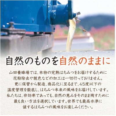 クローバー蜂蜜(ニュージーランド産)300g (03501)【1690264】