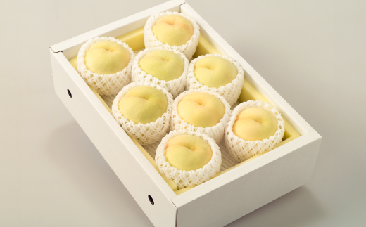 ◆先行受付◆　岡山県産　岡山白桃8〜10玉　2026年発送【配送不可地域：離島・北海道・沖縄県】【1349776】