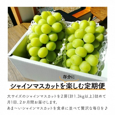 ãçºéæåºå®å®æäŸ¿ãã2026幎å
è¡äºçŽãã·ã£ã€ã³ãã¹ã«ãã倧2æ¿ã®æºè¶³äŸ¿/å
šäŸ¿èš2.6kgãå
š2åãé
éäžå¯å°åïŒé¢å³¶ãã4065361ã