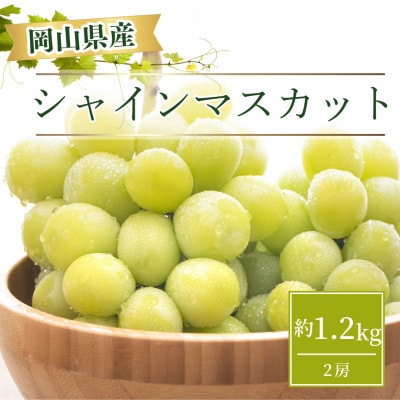 【2025年お届け】岡山県産 シャインマスカット  約1.2kg(2房)【配送不可地域：離島】【1332985】