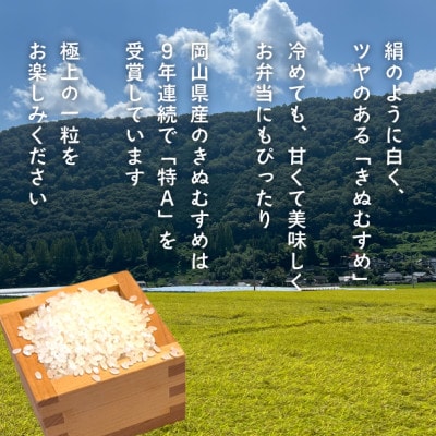 【2026年先行予約】令和8年産新米 岡山ほたる米 きぬむすめ精米5kg (岡山県産)【1701654】