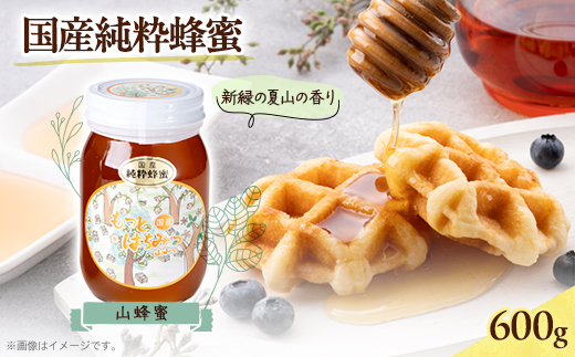 津山市産 山蜂蜜　600g【1605221】
