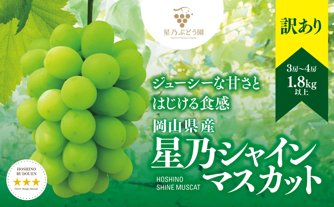 【先行受付】訳あり星乃シャインマスカット(岡山県産) 3〜4房(1.8kg以上)【配送不可地域：離島・北海道・沖縄県】【1626442】
