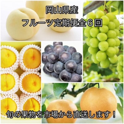 【発送月固定定期便】岡山県産  フルーツ定期便全6回【配送不可地域：離島】【4078587】