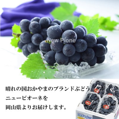 【2026年6月下旬より順次発送】岡山県産 ニューピオーネ 1.5kg(3房〜6房)【配送不可地域：離島・北海道・沖縄県】【1308146】