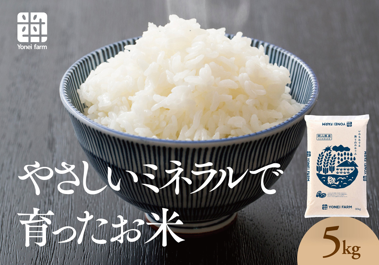 おいしいお米(5kg)無洗米　リピーター続出【1647875】