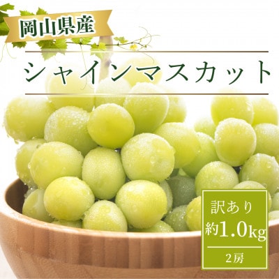 【2026年9月より順次発送】訳あり家庭用　岡山県産 シャインマスカット  1.0kg以上(2房)【配送不可地域：離島】【1612612】