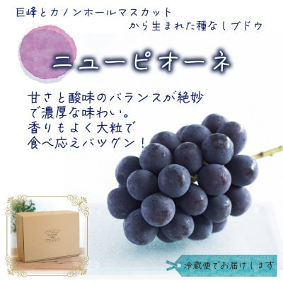 【2026年先行受付】岡山　花笑み農園の『ニューピオーネ』家庭用　約2kg(3〜5房)　P-2家【配送不可地域：離島】【1692569】