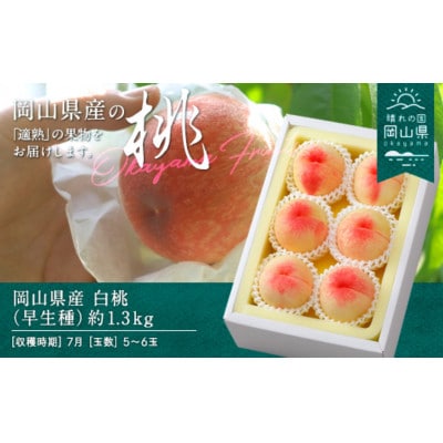 【2026年発送】岡山県産　白桃(早生種)約1.3kg(5〜6玉)【配送不可地域：離島】【1614011】