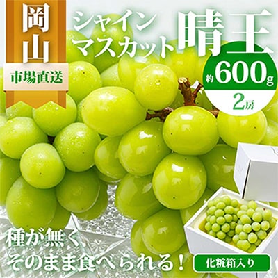 【先行受付】岡山県産　シャインマスカット『晴王』2房(1房600g以上)　化粧箱入り【配送不可地域：離島・北海道・沖縄県】【1281356】