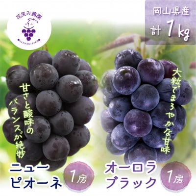 【2026年先行受付】岡山　花笑み農園の『ニューピオーネ&オーロラブラック』1kg(2房)　PA-1【配送不可地域：離島・北海道・沖縄県】【1627767】