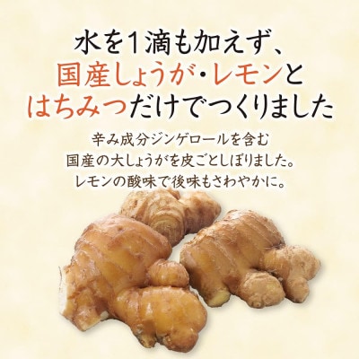 蜂蜜生姜ドリンク(レモン果汁入り)(26040)【1699275】