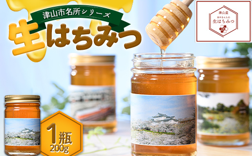 津山市名所シリーズ 生はちみつ200g×1瓶 ハチミツ 蜂蜜 調味料 はちみつ 加工品 食品 TY0-0583