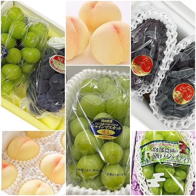 ãçºéæåºå®å®æäŸ¿ã岡山çç£ ãã«ãŒãå®æäŸ¿å
š6åãé
éäžå¯å°åïŒé¢å³¶ã»åæµ·éã»æ²çžçãã4077001ã