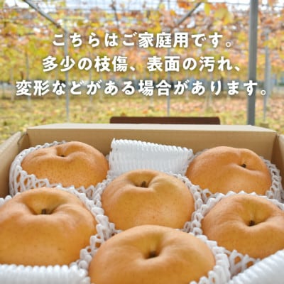 ã2026幎å
è¡äºçŽããããæ¢š ãå®¶åºçš/çŽ5kg(岡山çç£) ãæ³æ® åæ¢š å¬ã®æç©ã1566274ã