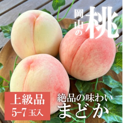 【2026年先行予約】上品な肉質 まどか 白桃 上級品 5-7玉入(岡山県産)【配送不可地域：離島】【1571597】