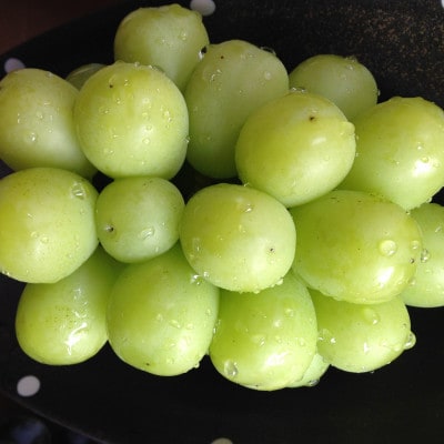 æ°é®®ã»ææ¡ãåŸå³åºè·!岡山çãååé«åç£ã·ã£ã€ã³ãã¹ã«ããã2kg (3ã4æ¿å
¥ã)èŽçåã1700915ã