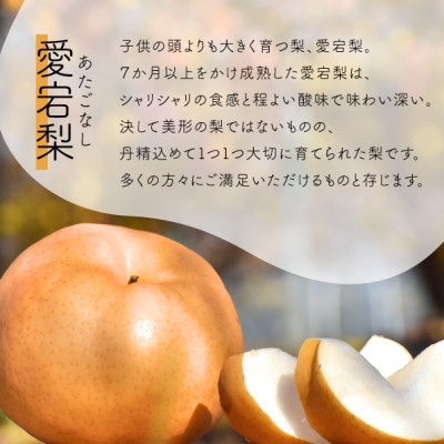 【2026年先行予約】あたご梨 上級品 3-6玉入(岡山県産)  お歳暮やギフトにもおすすめ【1559969】