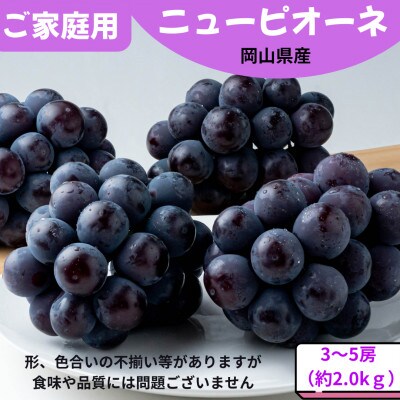 【先行受付】ご家庭用 ニューピオーネ 約2.0kg(3〜5房)【配送不可地域：離島】【1614296】