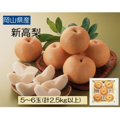 âå
è¡åä»âã岡山çç£ãæ°é«æ¢šã2025幎çºéãé
éäžå¯å°åïŒé¢å³¶ãã1350318ã