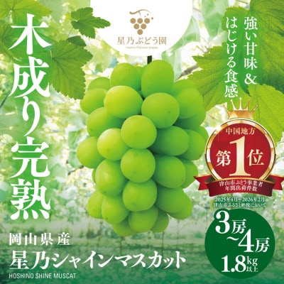 先行受付【三つ星ぶどう】星乃シャインマスカット (3房〜4房 1.8kg以上) 岡山県産【配送不可地域：離島・北海道・沖縄県】【1746009】