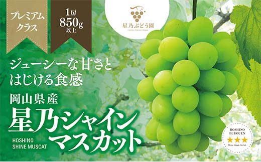 星乃シャインマスカット プレミアムクラス(岡山県産)　1房×850g以上【配送不可地域：離島】TY0-0589