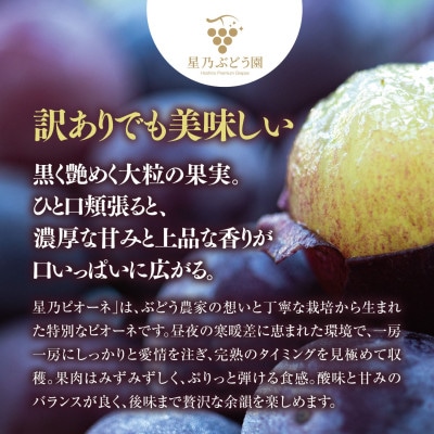 ãèš³ãããæä¹ããªãŒã 3æ¿ã5æ¿(2kg以äž)ãé
éäžå¯å°åïŒé¢å³¶ãã1740016ã