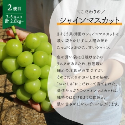 【発送月固定定期便】【2026年先行予約】ピオーネとシャインマスカットの2回便!(岡山県産)全2回【配送不可地域：離島】【4067502】