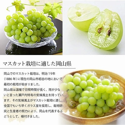 ã2026幎6æäžæ¬ããé æ¬¡çºéã岡山çç£ ãã¹ã«ããã»ãªãã»ã¢ã¬ããµã³ããªã¢ 700gÃ1æ¿ãé
éäžå¯å°åïŒé¢å³¶ã»åæµ·éã»æ²çžçãã1364674ã