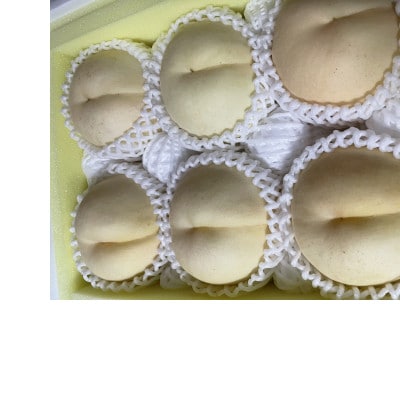 ãå
è¡äºçŽã岡山ã®çœæ¡ã»çŽ1.5kg(3ã6ç)7æäžæ¬é ãã9æäžæ¬é çºéäºå®ãé
éäžå¯å°åïŒé¢å³¶ãã1737829ã