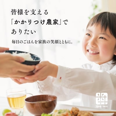 おいしいお米(5kg) 無洗米 リピーター続出 きぬむすめ【1184608】