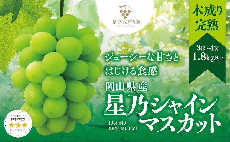 先行受付【三つ星ぶどう】星乃シャインマスカット (3房〜4房 1.8kg以上) 岡山県産【配送不可地域：離島・北海道・沖縄県】【1418932】