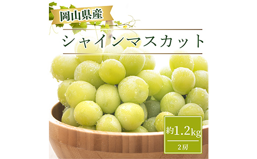 【先行受付】＜2025年9〜11月発送＞岡山県産 シャインマスカット 約1.2kg(2房) TY0-0629