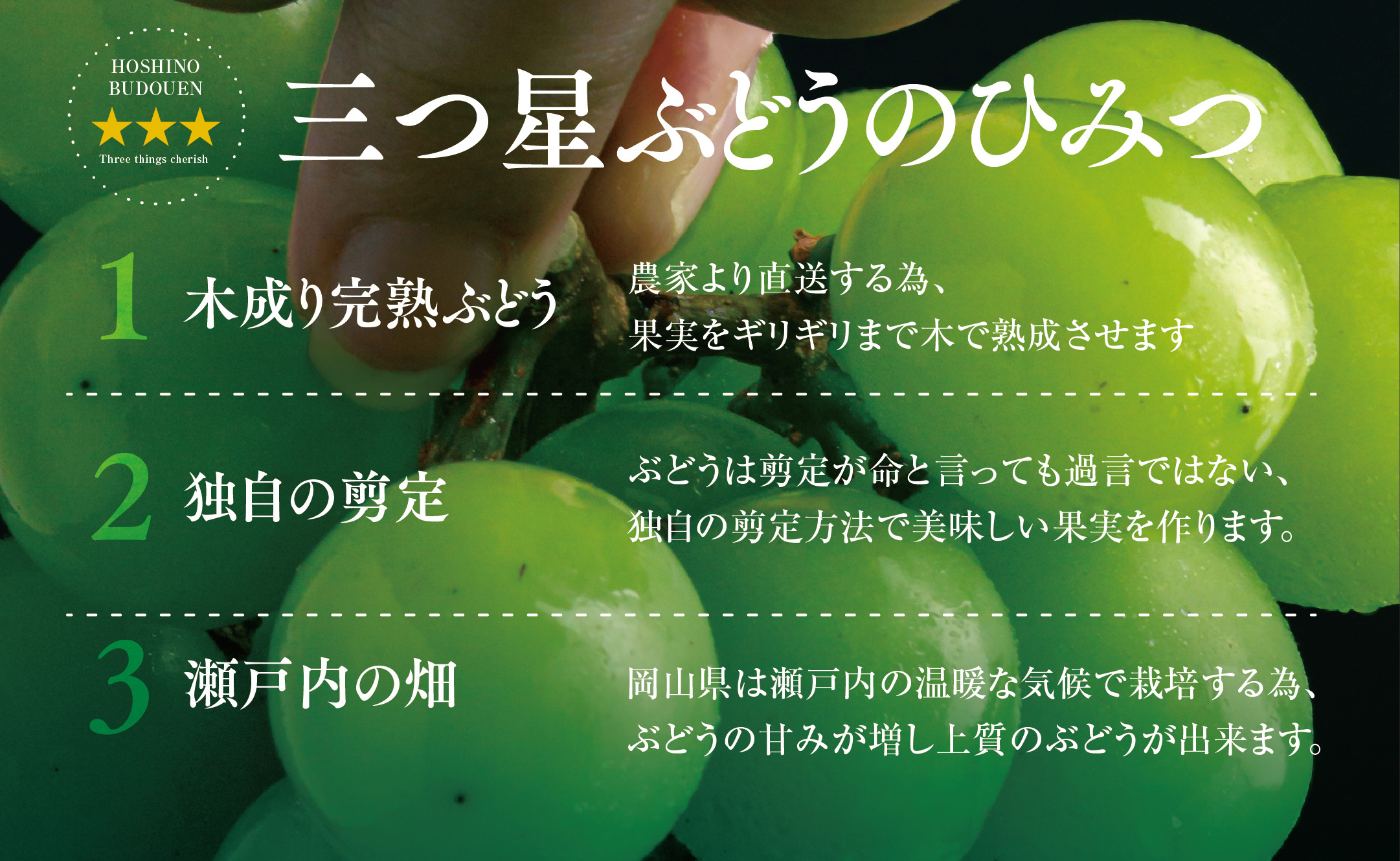 星乃シャインマスカット プレミアムクラス(岡山県産)　1房×850g以上【配送不可地域：離島】TY0-0589