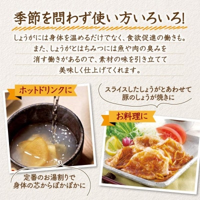 しょうがはちみつ漬450g(26191)【1608939】